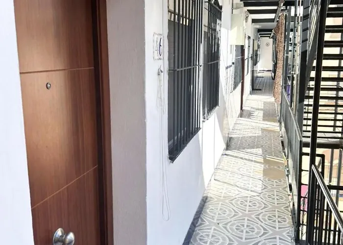 Pintor Viniegra * Cadice